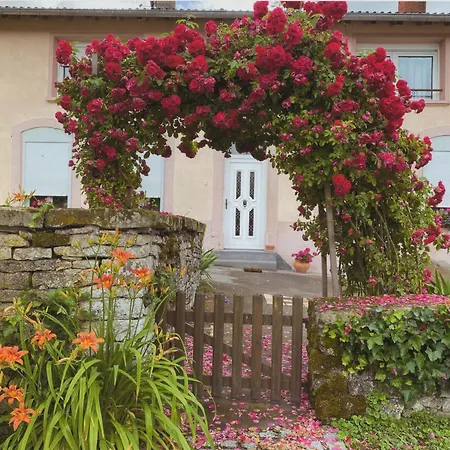 Spacieux Familial Pres Des Vosges - Fr-1-584-396 * Repaix